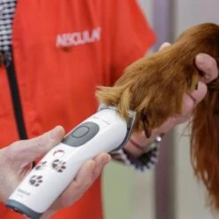 Aesculap Aesculap Akkurata Cordless Trimmer 5 Aesculap Aesculap Akkurata Cordless Trimmer -Dog Groomers Shop aesculap akkurata cordless trimmer p10316 14412 medium