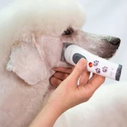Aesculap Aesculap Akkurata Cordless Trimmer 6 Aesculap Aesculap Akkurata Cordless Trimmer -Dog Groomers Shop aesculap akkurata cordless trimmer p10316 14413 medium