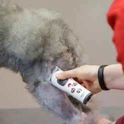 Aesculap Aesculap Akkurata Cordless Trimmer 7 Aesculap Aesculap Akkurata Cordless Trimmer -Dog Groomers Shop aesculap akkurata cordless trimmer p10316 14414 medium