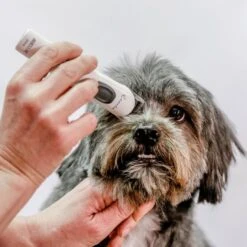 Aesculap Aesculap Exacta Cordless Trimmer 4 Aesculap Aesculap Exacta Cordless Trimmer -Dog Groomers Shop aesculap exacta cordless trimmer p35 14419 medium