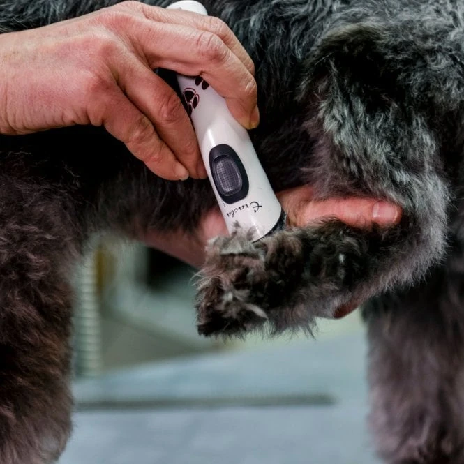 Aesculap Aesculap Exacta Cordless Trimmer Aesculap Aesculap Exacta Cordless Trimmer -Dog Groomers Shop aesculap exacta cordless trimmer p35 14420 medium