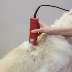 Aesculap Aesculap Favorita Speed Corded Clipper -Dog Groomers Shop aesculap favorita speed corded clipper p3268 12782 medium