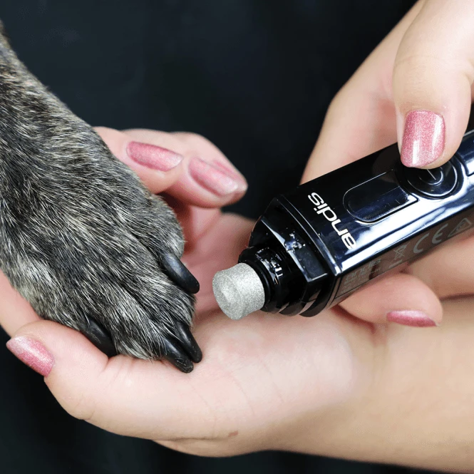 Andis Andis Cord/Cordless Nail Grinder Andis Andis Cord/Cordless Nail Grinder -Dog Groomers Shop andis cordcordless nail grinder p6616 7058 medium