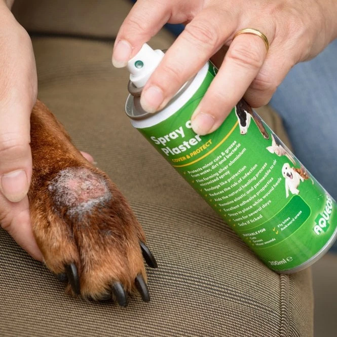 Aqueos Aqueos Spray on Plaster 200ml Aqueos Aqueos Spray On Plaster 200ml -Dog Groomers Shop aqueos spray on plaster 200ml p2934 14364 medium
