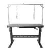 Groomers Groomers Athena Electric Professional Salon Table