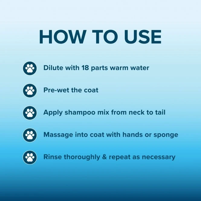 Groomers Coat Care Coat Clean Shampoo 5L Groomers Coat Care Coat Clean Shampoo 5L -Dog Groomers Shop groomers coat care coat clean shampoo 5l p17810 14251 medium