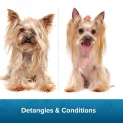 Groomers Coat Care Coat Management Spray Refill 1L -Dog Groomers Shop groomers coat care coat management spray refill 1l p17807 14176 medium