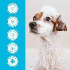 Groomers Everyday Groomers Everyday Clear Skies Shampoo 2 Groomers Everyday Groomers Everyday Clear Skies Shampoo -Dog Groomers Shop groomers everyday clear skies shampoo p17773 13651 medium