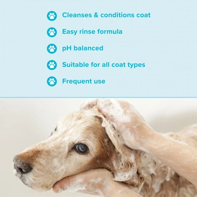 Groomers Everyday Groomers Everyday Clear Skies Shampoo Groomers Everyday Groomers Everyday Clear Skies Shampoo -Dog Groomers Shop groomers everyday clear skies shampoo p17773 13652 medium