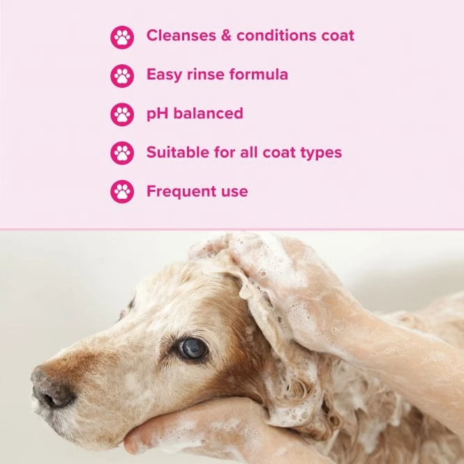 Groomers Everyday Groomers Everyday Floral Bouquet Shampoo Groomers Everyday Groomers Everyday Floral Bouquet Shampoo -Dog Groomers Shop groomers everyday floral bouquet shampoo p17774 13645 medium