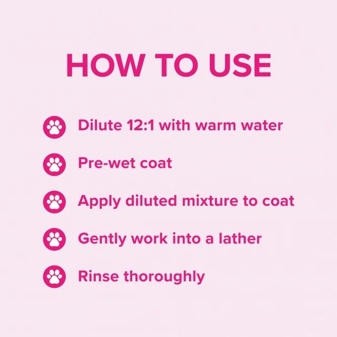 Groomers Everyday Groomers Everyday Floral Bouquet Shampoo Groomers Everyday Groomers Everyday Floral Bouquet Shampoo -Dog Groomers Shop groomers everyday floral bouquet shampoo p17774 13646 medium
