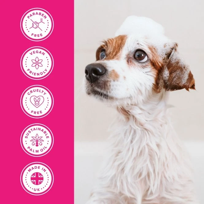 Groomers Everyday Groomers Everyday Floral Bouquet Shampoo Groomers Everyday Groomers Everyday Floral Bouquet Shampoo -Dog Groomers Shop groomers everyday floral bouquet shampoo p17774 13647 medium