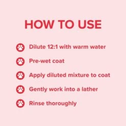 Groomers Everyday Groomers Everyday Summer Blossom Shampoo 4 Groomers Everyday Groomers Everyday Summer Blossom Shampoo -Dog Groomers Shop groomers everyday summer blossom shampoo p17775 13655 medium