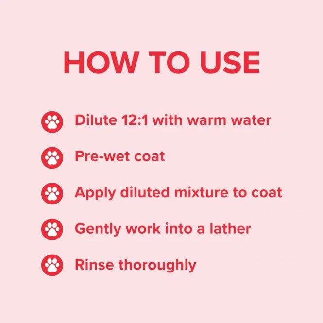 Groomers Everyday Groomers Everyday Summer Blossom Shampoo Groomers Everyday Groomers Everyday Summer Blossom Shampoo -Dog Groomers Shop groomers everyday summer blossom shampoo p17775 13655 medium