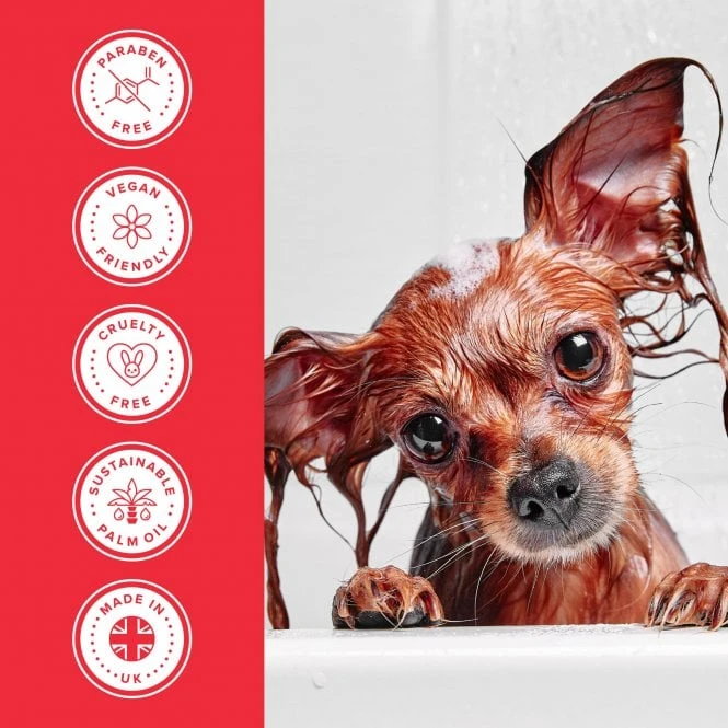Groomers Everyday Groomers Everyday Summer Blossom Shampoo Groomers Everyday Groomers Everyday Summer Blossom Shampoo -Dog Groomers Shop groomers everyday summer blossom shampoo p17775 13656 medium