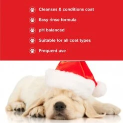Groomers Groomers Festive Ginger Spice Shampoo -Dog Groomers Shop groomers festive ginger spice shampoo p17834 14558 medium