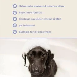 Groomers PerformanceGroomers Performance Calming Shampoo -Dog Groomers Shop groomers performance calming shampoo p17789 13787 medium