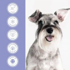 Groomers PerformanceGroomers Performance Calming Shampoo -Dog Groomers Shop groomers performance calming shampoo p17789 13788 medium