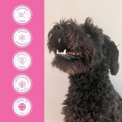 Groomers PerformanceGroomers Performance Detangle Shampoo -Dog Groomers Shop groomers performance detangle shampoo p17785 13757 medium