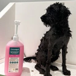 Groomers PerformanceGroomers Performance Detangle Shampoo -Dog Groomers Shop groomers performance detangle shampoo p17785 13759 medium