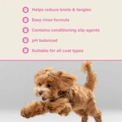 Groomers PerformanceGroomers Performance Detangle Shampoo -Dog Groomers Shop groomers performance detangle shampoo p17785 13768 medium