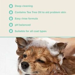 Groomers PerformanceGroomers Performance Medicated Shampoo -Dog Groomers Shop groomers performance medicated shampoo p17788 13778 medium