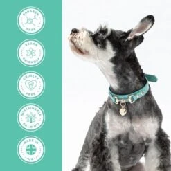 Groomers PerformanceGroomers Performance Medicated Shampoo -Dog Groomers Shop groomers performance medicated shampoo p17788 13779 medium