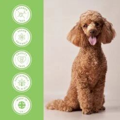 Groomers PerformanceGroomers Performance Scissoring Shampoo -Dog Groomers Shop groomers performance scissoring shampoo p17787 13785 medium