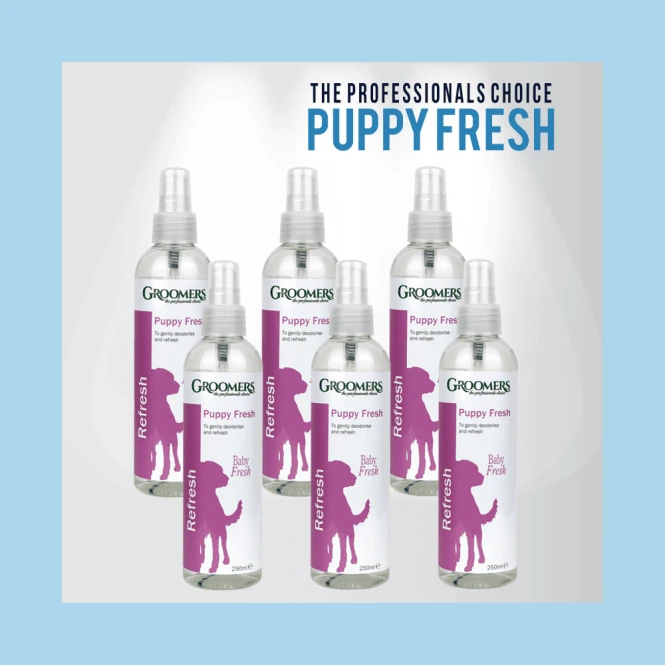 Groomers Groomers Puppy Fresh Spray 250ml - 6 Pack Groomers Groomers Puppy Fresh Spray 250ml - 6 Pack -Dog Groomers Shop groomers puppy fresh spray 250ml 6 pack p2772 9187 medium