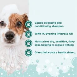 Groomers Groomers Signature Evening Primrose Oil Shampoo -Dog Groomers Shop groomers signature evening primrose oil shampoo p17609 13324 medium