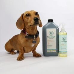 Groomers Groomers Signature Evening Primrose Oil Shampoo -Dog Groomers Shop groomers signature evening primrose oil shampoo p17609 14147 medium