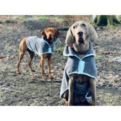 Henry Wag Henry Wag Drying Coat -Dog Groomers Shop henry wag drying coat p15568 9896 medium