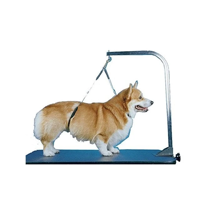 ProGuard No Sit Holder ProGuard No Sit Holder -Dog Groomers Shop proguard no sit holder p15794 10760 medium