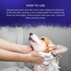 Wahl Wahl Diamond White Shampoo 4 Wahl Wahl Diamond White Shampoo -Dog Groomers Shop wahl diamond white shampoo p3796 13463 medium