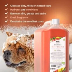 Wahl Wahl Dirty Beastie Shampoo 3 Wahl Wahl Dirty Beastie Shampoo -Dog Groomers Shop wahl dirty beastie shampoo p3610 13458 medium