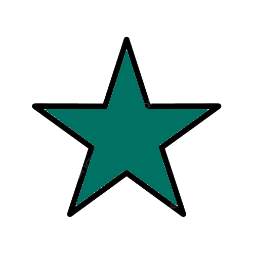 Dog Groomers Shop -Dog Groomers Shop pngtree vector star icon png image 4187383 removebg preview 1